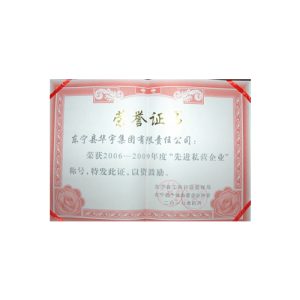 2010先进私营企业