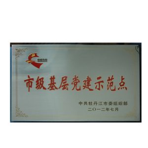 2012市级基层党建示范点