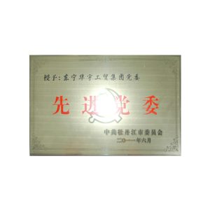 2011牡丹江先进党委