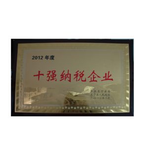 十强纳税企业