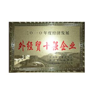 2010县外经贸十强