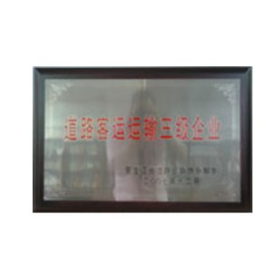 2007年省道路客运运输三级企业