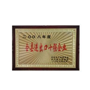 2008年全县进出口十强企业