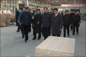 吉林省委考察团参观华海木业