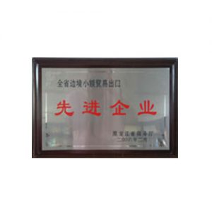 2006年全省边境小额贸易出口先进企业