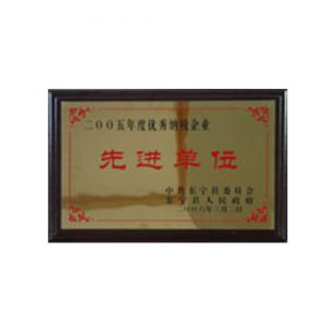 2005年度优秀纳税企业先进单位