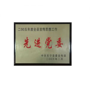 2005年度全县宣传思想工作先进党委