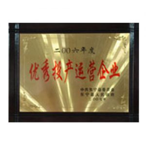 2006年度优秀投产运营企业