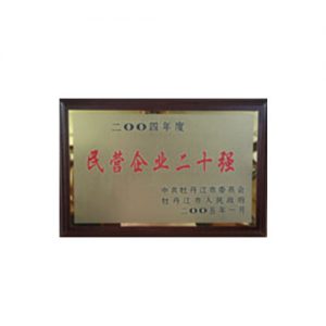 2004年度民营企业二十强企业