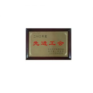 2003年度县级先进工会