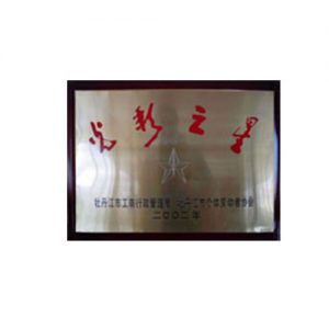 2002年荣获牡丹江市“光彩之星”荣誉称号