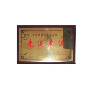 2004年省劳动就业服务企业先进单位