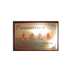 2003年度县宣传思想工作先进党委