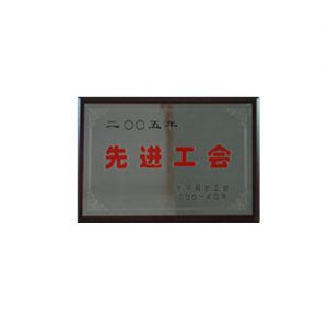 2005年先进工会
