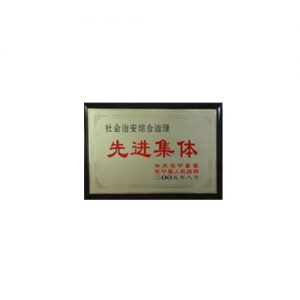 2005年社会治安综合治理先进集体