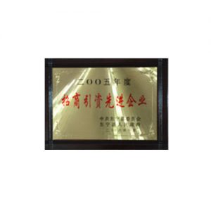 2005年度招商引资先进企业