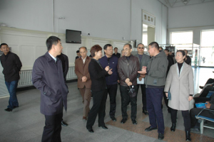 黑龙江省委组织部调研组莅临华宇集团党委调研“不忘初心、牢记使命”主题教育活动 基层示范点创建活动￼