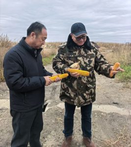 纪文楠董事长赴境外园区视察大豆收割工作